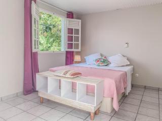 VILLAS AUMIS 2MR - Fort-de-France - 8