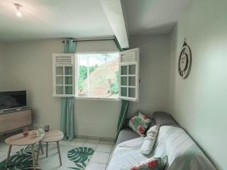 VILLAS AUMIS 2MR - Fort-de-France - 7