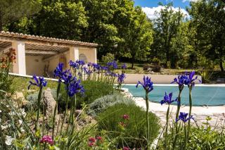 Les Lavandes - Saignon - 9