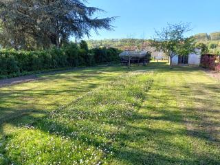 Gîte de la rivière - Pineuilh - 8