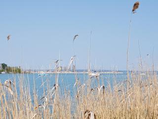 Coastline Balaton Apartment - Alsóörs - 8