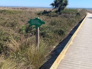 SeaForever-King Bed, Ocean Views with Beach Bikes - Hilton Head Island - 7