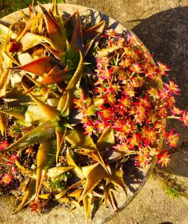 Gîte de la rivière - 7