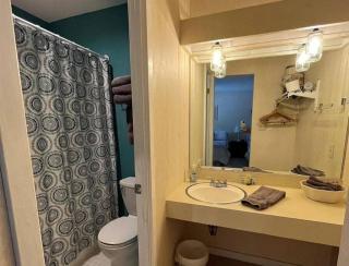 Ski In Ski Out - Sleeps 6 - Bring the family! - 8