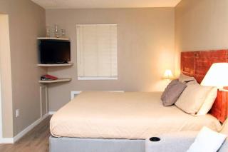 Ski In Ski Out - Sleeps 6 - Bring the family! - Mancelona - 4