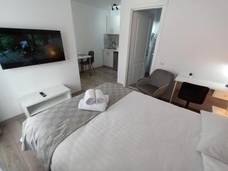 Old Town Studio 2 apartment nr 2 - Baia Mare - 4