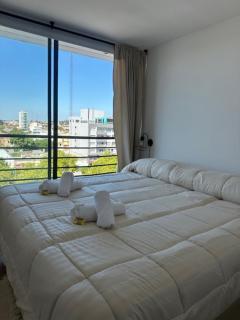 nardos suites - Balcarce - 6