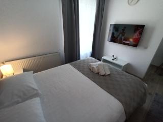 Old Town Studio 2 apartment nr 2 - Baia Mare - 8