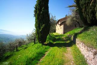 Agriturismo Cuore Verde La Madreselva a Spello - Spello - 9