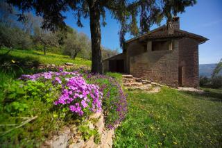 Agriturismo Cuore Verde La Madreselva a Spello - Spello - 6