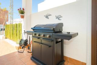 Tortuga Marina - San Juan de los Terreros - 8