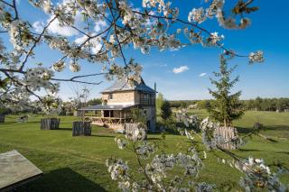 Green Oak Villa - 4