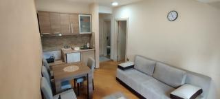 Apartman Miletić 4 - Zlatibor - 0