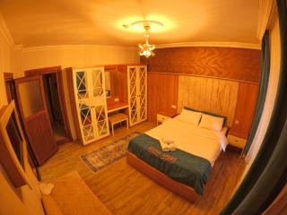 Kusva Apart - Uzungöl - 0