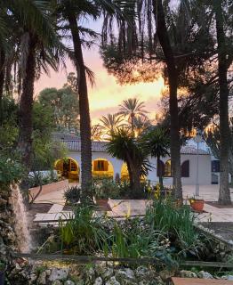 Pink Lemon House - Elx - 5