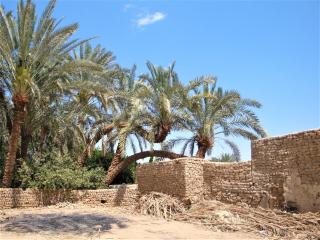 El Beyt Farmhotel - Az Zabū - 1