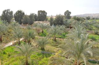 El Beyt Farmhotel - 5