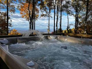 The Grandview Lodge - Blue Ridge - 9