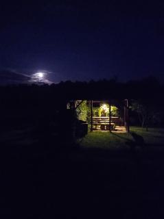 Agroturystyka Przy Siole Budy - Białowieża - 1