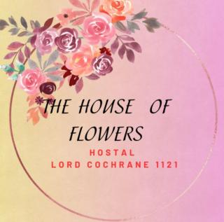 the house of flowers - Osorno - 0