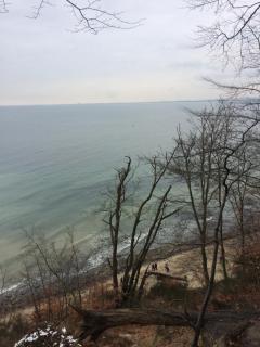 Green Sopot - Sopot - 1