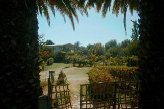Posada Al Río - Isla de Maipo - 9