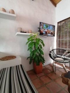 Casa de las Palmas - Honda - 7