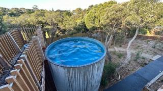 Portsea Shingle House - 5