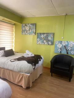 Hostal Queltehue - Ancud - 1