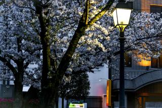 媛楽園 松山中心地及び道後温泉に近い家族やグループ旅行の多人数が泊まれる快適な宿 - 8