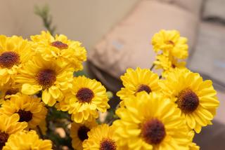 Casa NAU Mazunte - 9