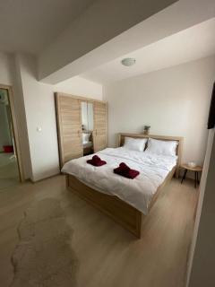 Urban Nest- Apartament cu 2 camere, aproape de Iulius Mall - Iaşi - 4