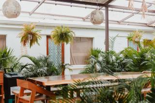 La Tribu Boutique Hostel for women - Puerto Viejo - 2