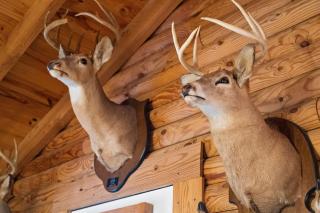 Oak Hill Cabin - 6