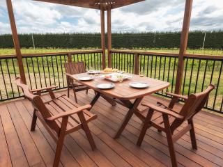 The Savvy Retreat - vineyard views - Martinborough - 9