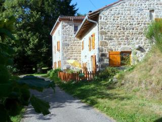 Charmant Gîte avec Terrasse, Cheminée et Jardin, à Proximité des Bois, Animaux Acceptés - FR-1-496-205 - Saint-Jean-Soleymieux - 1