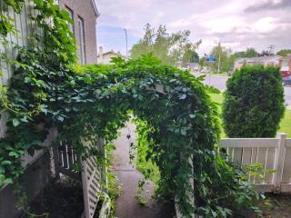Timeless Tranquility, a place near everything! - Longueuil - 5