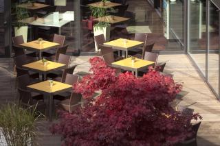 Holiday Inn Express Zürich Airport by IHG - 5