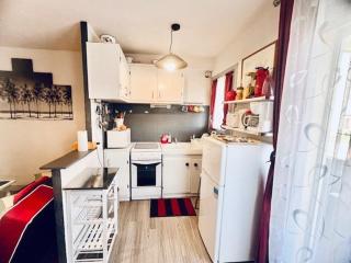 F2 avec balcon, parking et équipements complets à Amélie-les-Bains-Palalda - FR-1-703-176 - Amélie-les-Bains-Palalda - 9