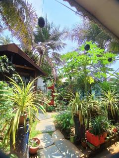 Monsoon - Agonda - 8