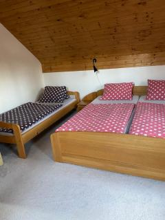 Apartman U vleku - Ceske Petrovice - 1