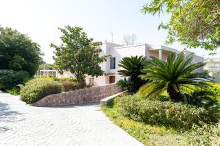 Kos Dream Beachwalk Apartment - Tigaki - 0