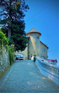 The Magnolia Lodge - Almora - 0