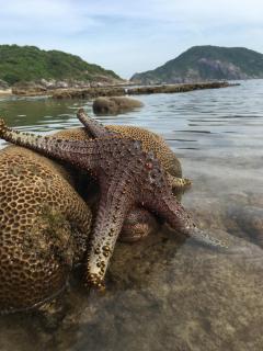Cham Island Homestay Lau Thu - Tân Hiệp - 7