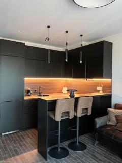 Designer studio apartment in Vilnius - Vilnius - 0