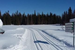 Bydalsfjällen Östersund Åre Jämtland - 8