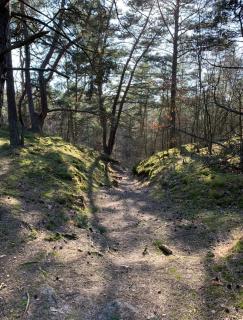 Latarnia Morska - 1