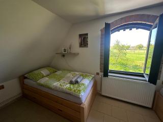 Vinný sklep v Zarazicích - 4