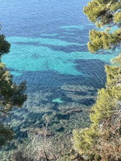 Le Rayol - Rayol-Canadel-sur-Mer - 0