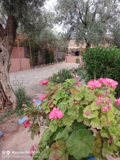 Les délices d Aya - 2